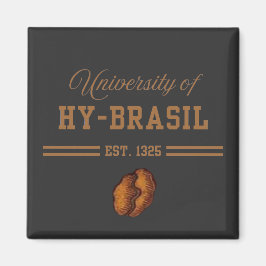 ハイブラジル大学 1325年創立 マグネット