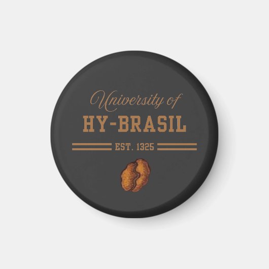 ハイブラジル大学 1325年創立 マグネット (正面)