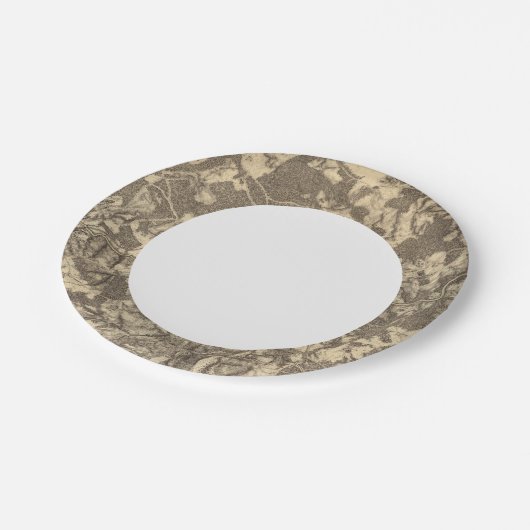 ハイブリッジとバージニア ペーパープレート (アングル)