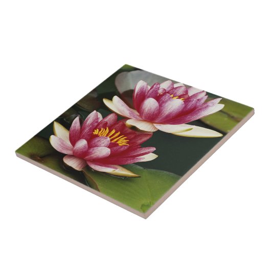 ハイブリッドスイリ タイル (側面)