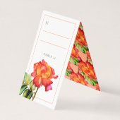 ハイブリッドティーバラオレンジレッド結婚ズ (裏面)