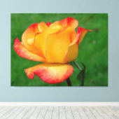 ハイブリッドティーバラリオサンバオンキャンバス キャンバスプリント (インサイチュ (ウッドフロア))