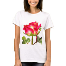 ハイブリッドティーバラ水モダン彩花芸術