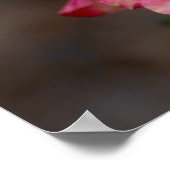 ハイブリッドバラ ポスター (角)