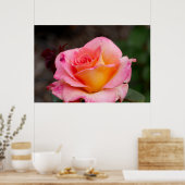 ハイブリッドバラ ポスター (キッチン)