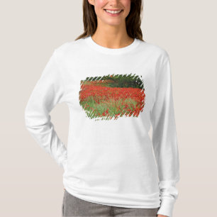 ハイブリッドポピーの花が植えられたフィールド Tシャツ