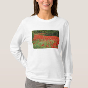 ハイブリッドポピーの花畑 Tシャツ