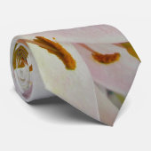 ハイブリッドライリーのネクタイ ネクタイ (ロール)