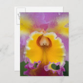 ハイブリッドラン、フロリダ ポストカード (正面/裏面)