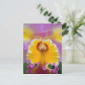 ハイブリッドラン、フロリダ ポストカード (スタンド正面)