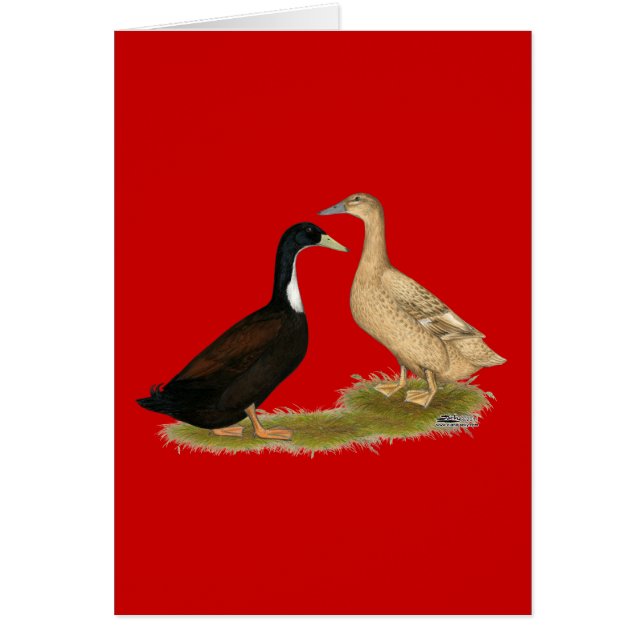 ハイブリッド布設鴨 (正面)