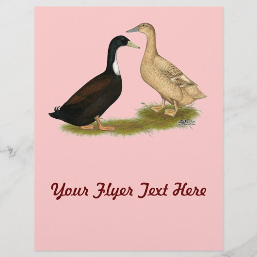 ハイブリッド布設鴨 チラシ (正面)