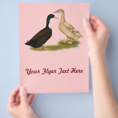 ハイブリッド布設鴨 チラシ (手)