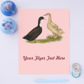 ハイブリッド布設鴨 チラシ (シングル)