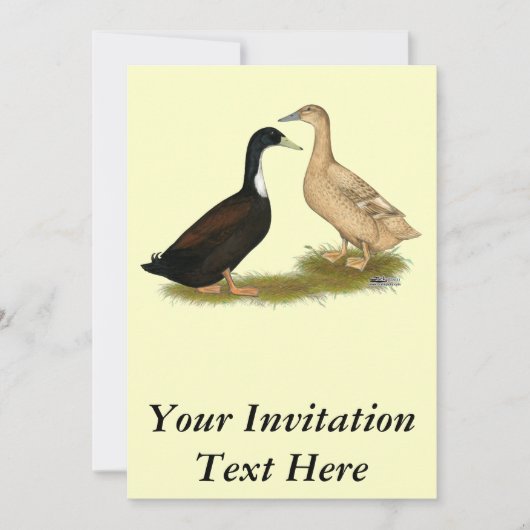 ハイブリッド布設鴨 招待状 (正面)