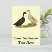 ハイブリッド布設鴨 招待状 (スタンド正面)