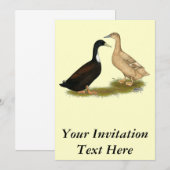ハイブリッド布設鴨 招待状 (正面/裏面)