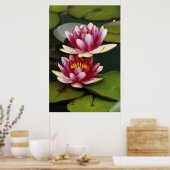 ハイブリッド睡蓮 ポスター (キッチン)