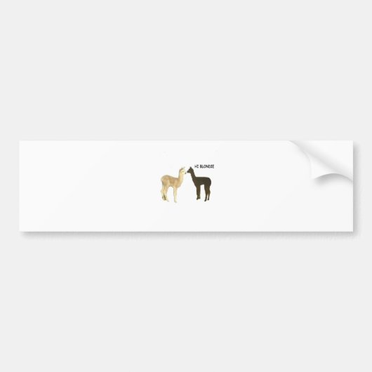 ハイブロンディ バンパーステッカー (正面)