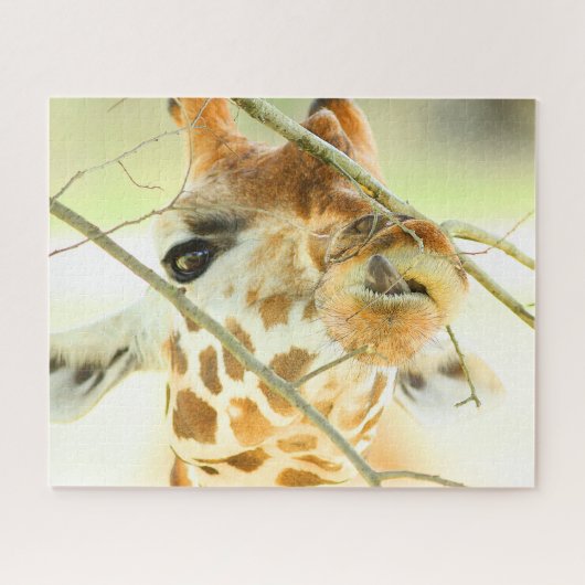 ハイホープ16x20インチ ジグソーパズル (横)