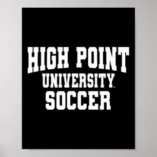 ハイポイント大学パンサーズ サッカー NCAA Hp23 ポスター