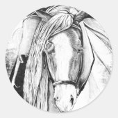 ハイポイント（クローズアップ） ラウンドシール (正面)