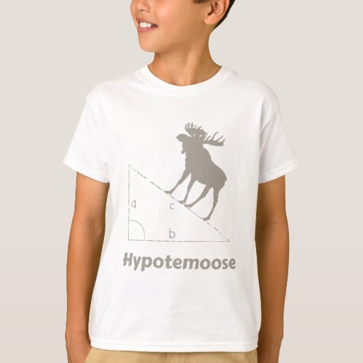 ハイポテムース数学ギーク Tシャツ (正面)