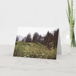 ハイマウンテンパラダイスグリーティングカード シーズンカード