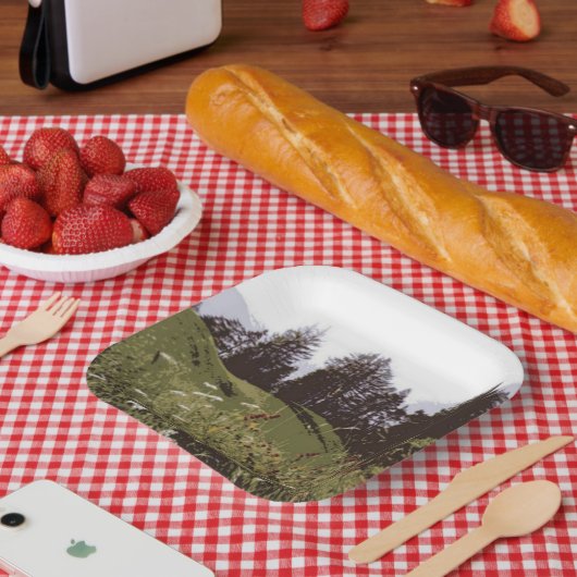 ハイマウンテンパラダイスススクエア紙プレート ペーパープレート (ピクニック)