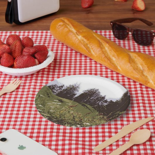 ハイマウンテンパラダイス紙プレート ペーパープレート (ピクニック)