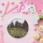 ハイマウンテンパラダイス紙プレート ペーパープレート (パーティー)