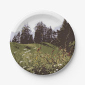 ハイマウンテンパラダイス紙プレート ペーパープレート (正面)