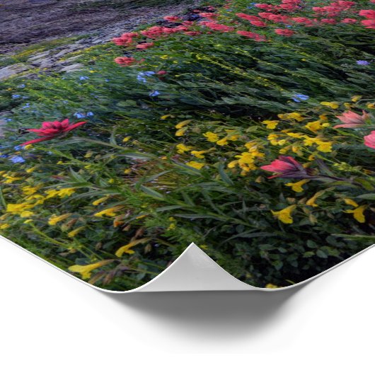 ハイマウンテンメドウのワイルドフラワー – ユタ ポスター (角)