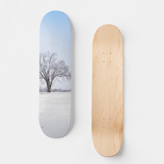 ハイライト表示された冬のオークの木 スケートボード (正面)