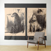 ハイライフドッグ，ローライフドッグ