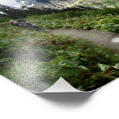 ハイライントレイル – 氷河の国立公園 フォトプリント            (角)