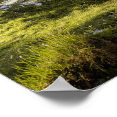 ハイランズで群がるブルーメルレコリーヒツジ –  ポスター (角)