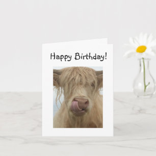 ハイランドおもしろいカウズ誕生日 カード