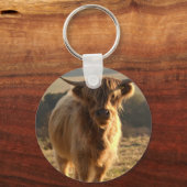 ハイランドの若牛 キーホルダー (正面)