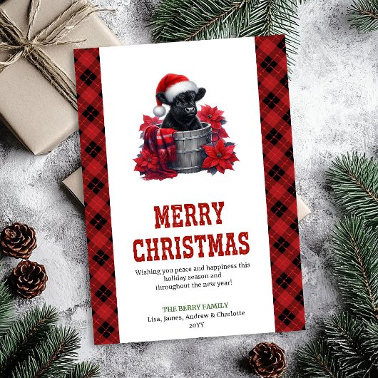 ハイランドカウのクリスマスカード 松の枝とヒイラギ シーズンカード