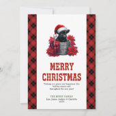 ハイランドカウのクリスマスカード 松の枝とヒイラギ シーズンカード (正面)