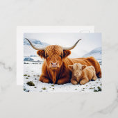 ハイランドカウアニマル自然野生動物愛情愛 箔シーズンポストカード (正面/裏面)