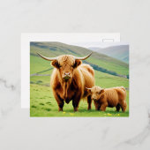 ハイランドカウアニマル自然野生動物愛情愛 箔シーズンポストカード (正面/裏面)