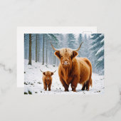 ハイランドカウアニマル自然野生動物愛情愛 箔シーズンポストカード (正面/裏面)