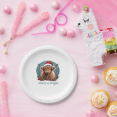 ハイランドカウエッセンシャルTシャツ ペーパープレート (パーティー)