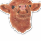 ハイランドカウオーバーサイズTシャツ シール (正面)