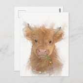 ハイランドカウカーフポートレート ポストカード (正面/裏面)