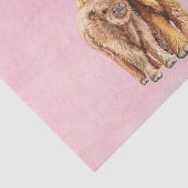ハイランドカウスコットランドピンクママベビーカーフ 薄葉紙 (詳細)