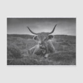 ハイランドカウスコットランド素朴ティッシュペーパー 薄葉紙 (正面)