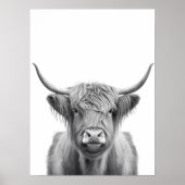 ハイランドカウヘッドポートレート白黒 ポスター (正面)